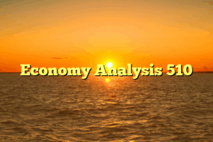 Economy Analysis 510