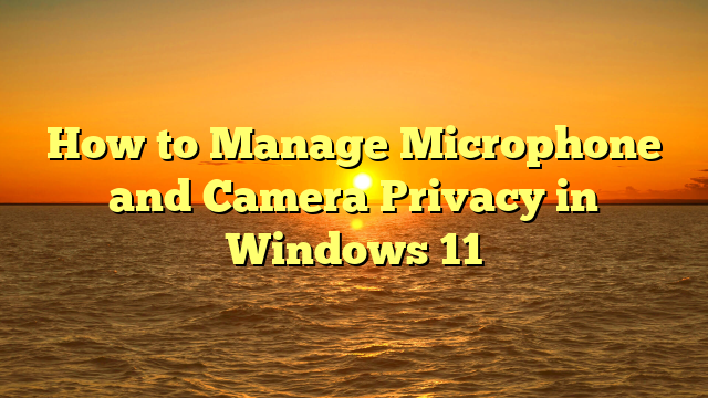 How to Manage Microphone and Camera Privacy in Windows 11